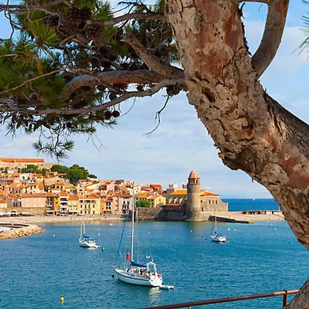 T2 Climatisé à Argelès-sur-mer Avec Terrasse, Jardin Et Parking - Fr-1-732-49 Argelès-sur-Mer
