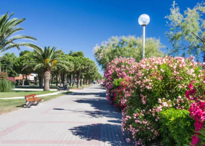 T2 Climatise A Avec Terrasse, Jardin Et Parking - Fr-1-732-49 Argelès-sur-Mer