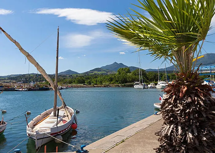 Appartement T2 Climatise A Avec Terrasse, Jardin Et Parking - Fr-1-732-49 Argelès-sur-Mer